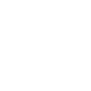 Logo formats Starpro-19